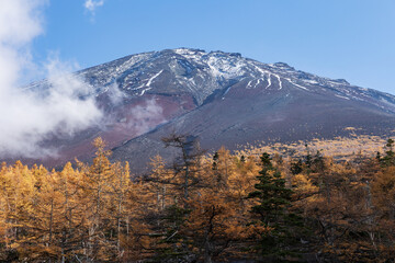 富士とカラマツ
