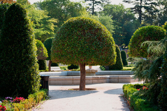 Parque del retiro Madrid Espa&ntilde;a
