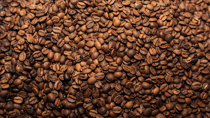 Fresh Raw Roasted Coffee Beans