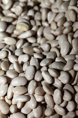 Healthy and Fresh Raw Food White Bean