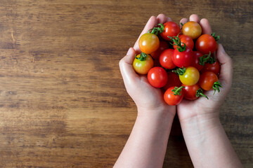 Fresh tomatoes in hands on a wooden background. Harvesting tomatoes. Top view