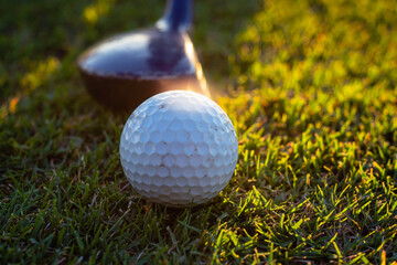close-up of golf ball and club on green with sunset light