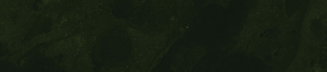 abstract black and dark green colors background for design