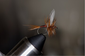 Red dry fly tied on size 16 hook with red, white and black hackle with wally wings. 