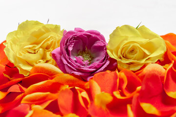 floral color mix background with selective focus. Valentine's Day, Mother's Day concept. Flat lay, top view, copy space