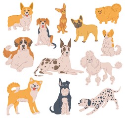 Set of cartoon dog pets, puppies different breeds, domestic animals with pedigree