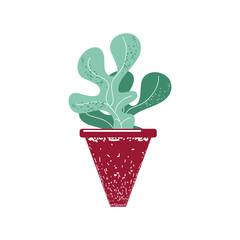 plant in pot garden decoration nature