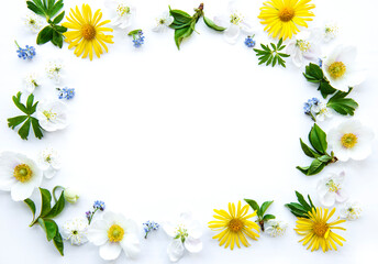 Flat lay frame with spring flowers, leaves and petals