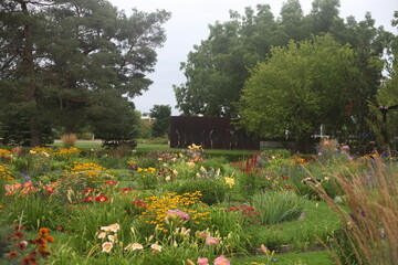 Obraz premium flowers in the garden