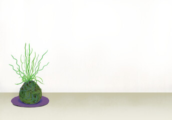 ラセンイの苔玉が飾られた明るくナチュラルな雰囲気のシンプルな白い部屋（紫色の皿のアーティスティックな飾り）