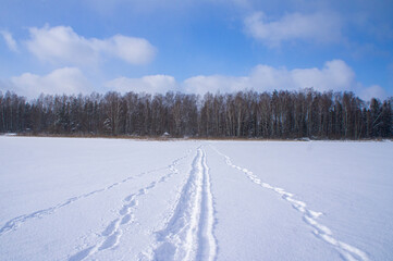 Fototapeta na wymiar Winter snowy shore of forest lake