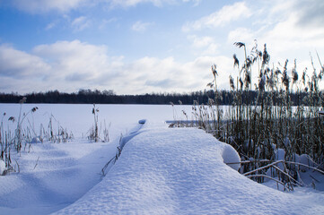 Winter snowy shore of forest lake