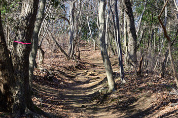 里山の登山道