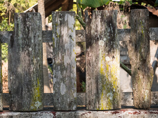 Part of an old fence made of planks covered with stains and mildew. Moldy board surface with nails. Fungus and yellow mold.