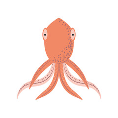 underwater world sea life octopus