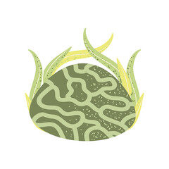 underwater world sea life coral and seaweed