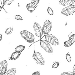 Bell pepper seamless pattern on white background. Peanut, leaf, nut, seeds. Vector illustration of nuts in cartoon simple flat style. Elements in graphic style label, card, sticker, menu, package.