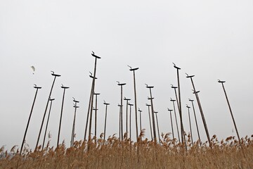 Fototapeta premium 한국의시흥갯골생태공원입니다