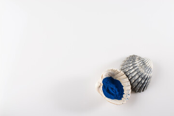 Blue spirulina powder in white spoon isolated on white background. Phycocyanin extract. Natural superfood, vegan, healthy dietary supplement.