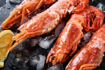 Frozen seafood. Fresh shrimps with lemon on dark background. Red raw prawns