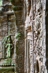 The view of Ta Prohm temple in Siem Reap in Cambodia. Angkor complex.