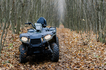Travel without roads. ATV. A man rides through the forest on an all-terrain vehicle. Quad bike. In the woods. ATV trip to the forest