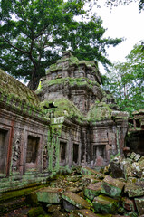 The view of Ta Prohm temple in Siem Reap in Cambodia. Angkor complex.
