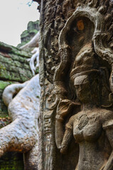 Fototapeta premium The view of Ta Prohm temple in Siem Reap in Cambodia. Angkor complex.