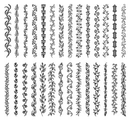 Border and brocade, divider with floral ornament. Frame decoration, design element with thin line flowers, leaves and buds vector. Delicate borders with ornamental and curly plants parts