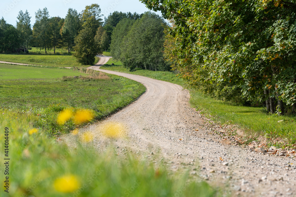 Canvas Prints Curve country road.