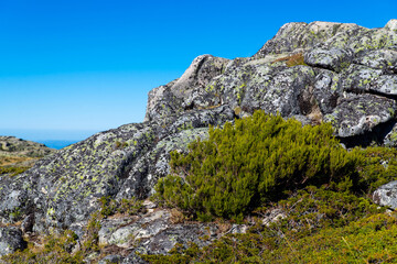 Beautiful view on edge of a cliff in mountain area