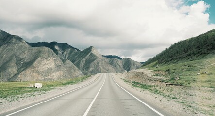 asphalt road in the Altay mountains