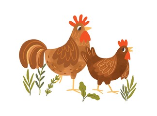 Funny hen and rooster walking together. Couple of cute domestic birds with brown feathers. Colored flat textured vector illustration isolated on white background