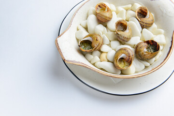 Escargots de Bourgogne. Fried snails with garlic butter, gourmet dish, in traditional ceramic plate.