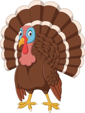 Cartoon turkey on white background
