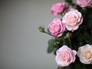 Beautiful bouquet of pink roses.