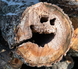 smiley on a cut of a tree trunk