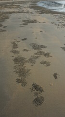 sand bubbles by sand bubbler crabs at the Phra Thong Bay on Ko Phra Thong Island, Southern Thailand, February