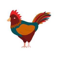 isolated image of a rooster. Cute illustration for children's educational aids, labyrinths, books. vector illustration, hand-drawn style