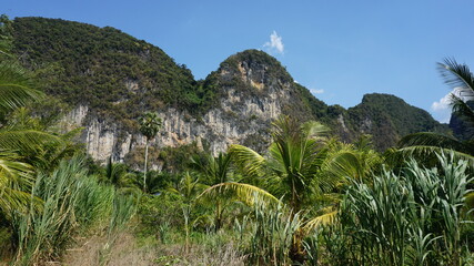 Fototapeta premium a mountain in Ao Luek, Krabi, Southern Thailand, March
