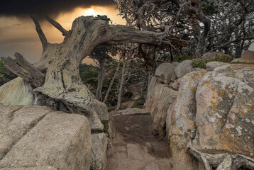Beautiful landscape view of the hiking trail on the rocky Pacific coast at Point Lobos State Reserve in Carmel, California.