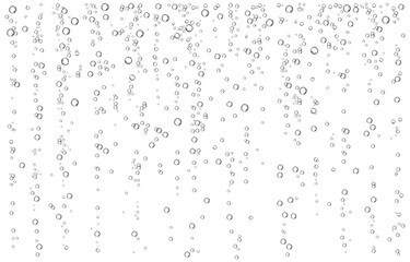 Oxygen air bubbles  flow  in water on white  background.