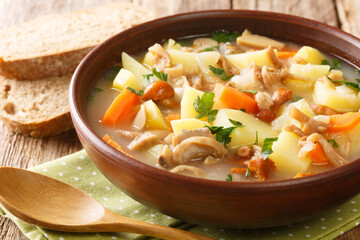 Delicious soup with mushrooms, potatoes, carrots and onions close-up in a bowl on the table. horizontal
