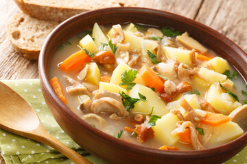 Czech soup with mushrooms and vegetables close-up in a bowl on the table. horizontal
