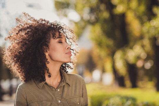 Profile photo of attractive charming wavy hairdo dark skin lady closed eyes feel wind breeze imagine relax spending time outdoors