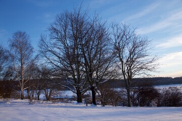 Winterlandschaft am Abend