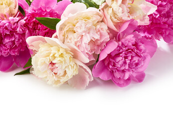 Bouquet of peony flowers over white background