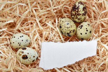 five quail eggs and a white sheet of paper with torn edges on sawdust