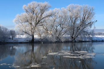winterlandschaft , aue der fulda in wolfsanger , kassel , nordhessen