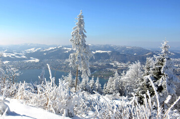 Winterwonderland auf dem Grünberg (Gmunden, Salzkammergut, Oberösterreich, Österreich) - Winter...